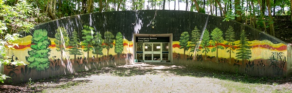 Mural of a forest