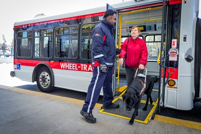 Passenger exiting WT bus with guide dog