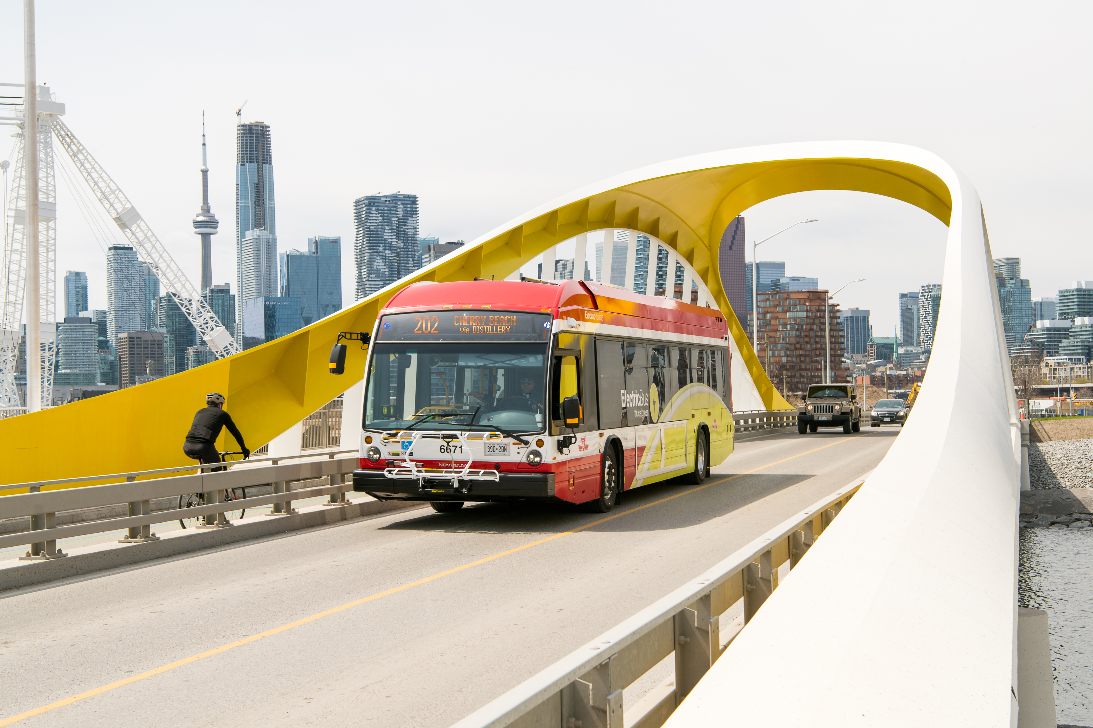 TTC bus route 202