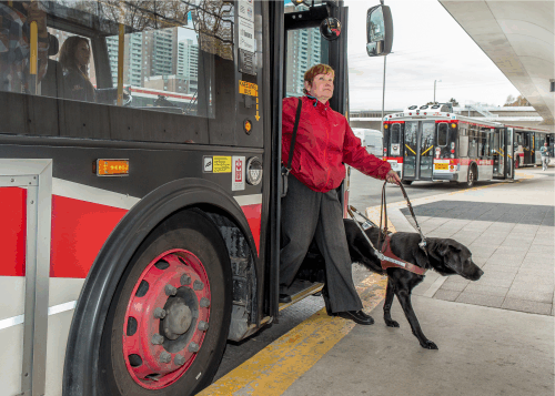 ACAT member with service dog unboarding TTC bus